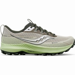 Men's Saucony Peregrine 13 GTX Running Shoes Dust / Umbra | Australia S15782-B97