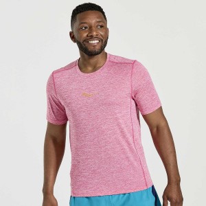 Men's Saucony Stopwatch Short Sleeve T Shirts Pink | Australia S67903-R21