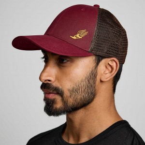 Men's Saucony Trucker Hats Red | Australia S85641-A82