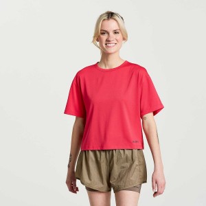 Women's Saucony Elevate Short Sleeve T Shirts Rose | Australia S78694-P21