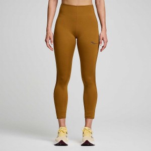 Women's Saucony Fortify Viz Tight Brown | Australia S01236-K73