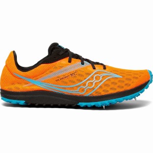 Women's Saucony Kilkenny XC9 Spike Track Spikes Blue | Australia S90521-F75