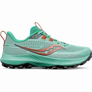 Women's Saucony Peregrine 13 Trail Running Shoes Turquoise / Orange | Australia S58604-B95