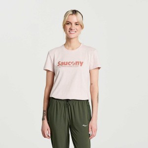 Women's Saucony Rested T Shirts Rose | Australia S53918-V80