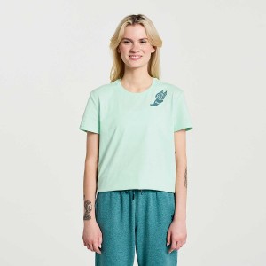 Women's Saucony Rested T Shirts Turquoise | Australia S52064-B60