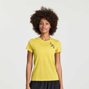 Women's Saucony Stopwatch Graphic Short Sleeve T Shirts Yellow | Australia S37510-F56