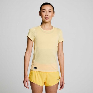 Women's Saucony Stopwatch Short Sleeve T Shirts Glow | Australia S60379-F92