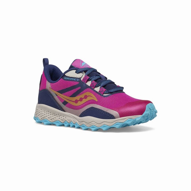 Kids' Saucony Peregrine 12 Shield Sneaker Running Shoes Navy / Turquoise / Pink | Australia S60579-R06