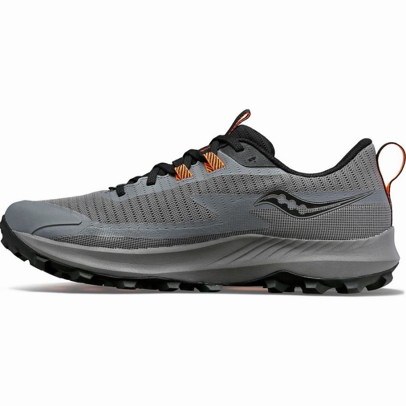 Men's Saucony Peregrine 13 GTX Running Shoes Grey / Black | Australia S41720-V90