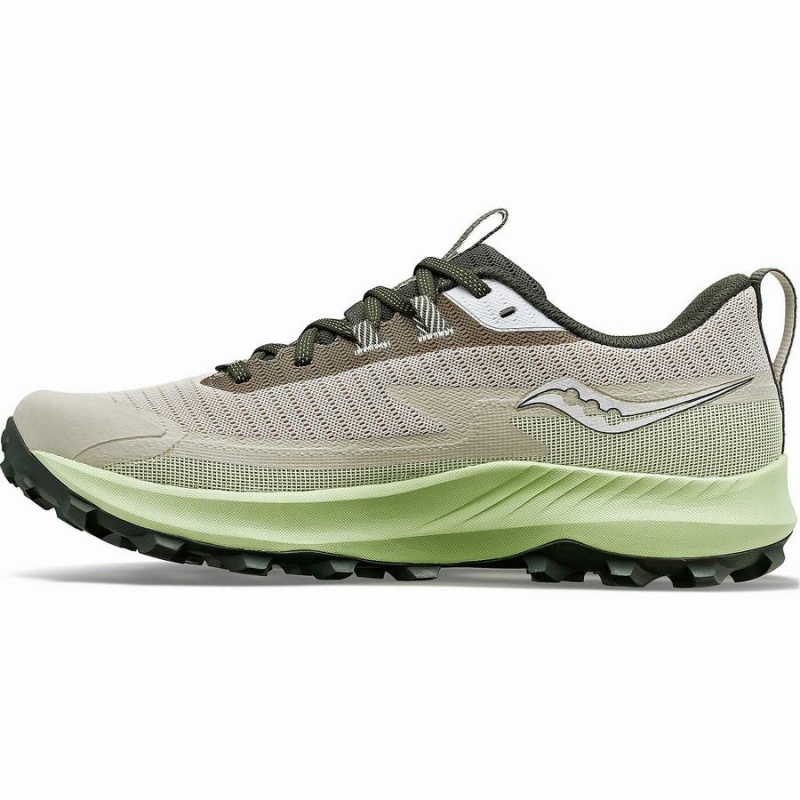 Men's Saucony Peregrine 13 GTX Running Shoes Dust / Umbra | Australia S15782-B97