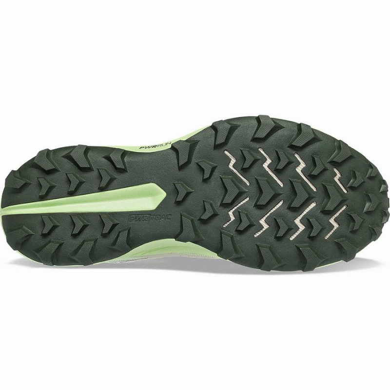 Men's Saucony Peregrine 13 GTX Running Shoes Dust / Umbra | Australia S15782-B97