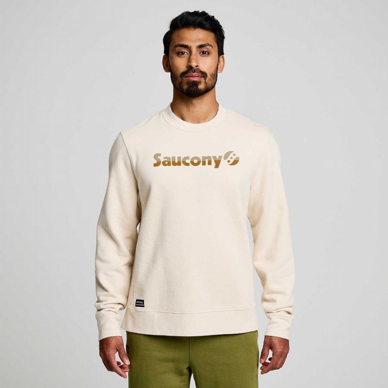 Men's Saucony Recovery Crew Sweatshirt Beige | Australia S69153-U24