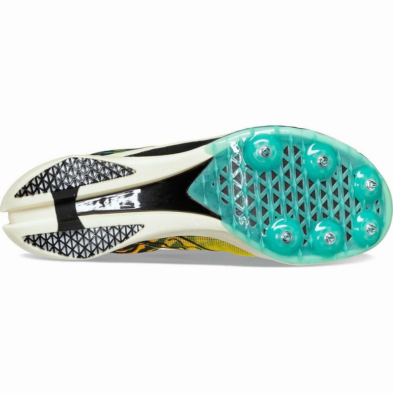 Women's Saucony Endorphin Cheetah Track Spikes Black | Australia S97521-R43