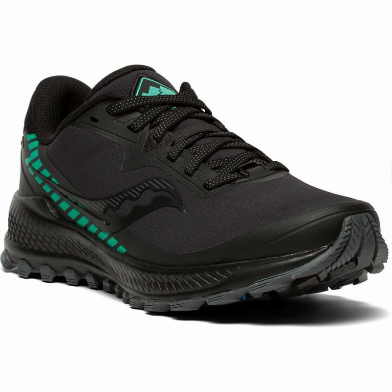 Women's Saucony Peregrine ICE+ Trail Running Shoes Black | Australia S32764-J94