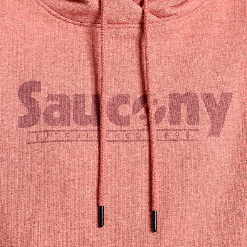 Women's Saucony Rested Hoodie Soot Heather Graphic | Australia S80425-R41